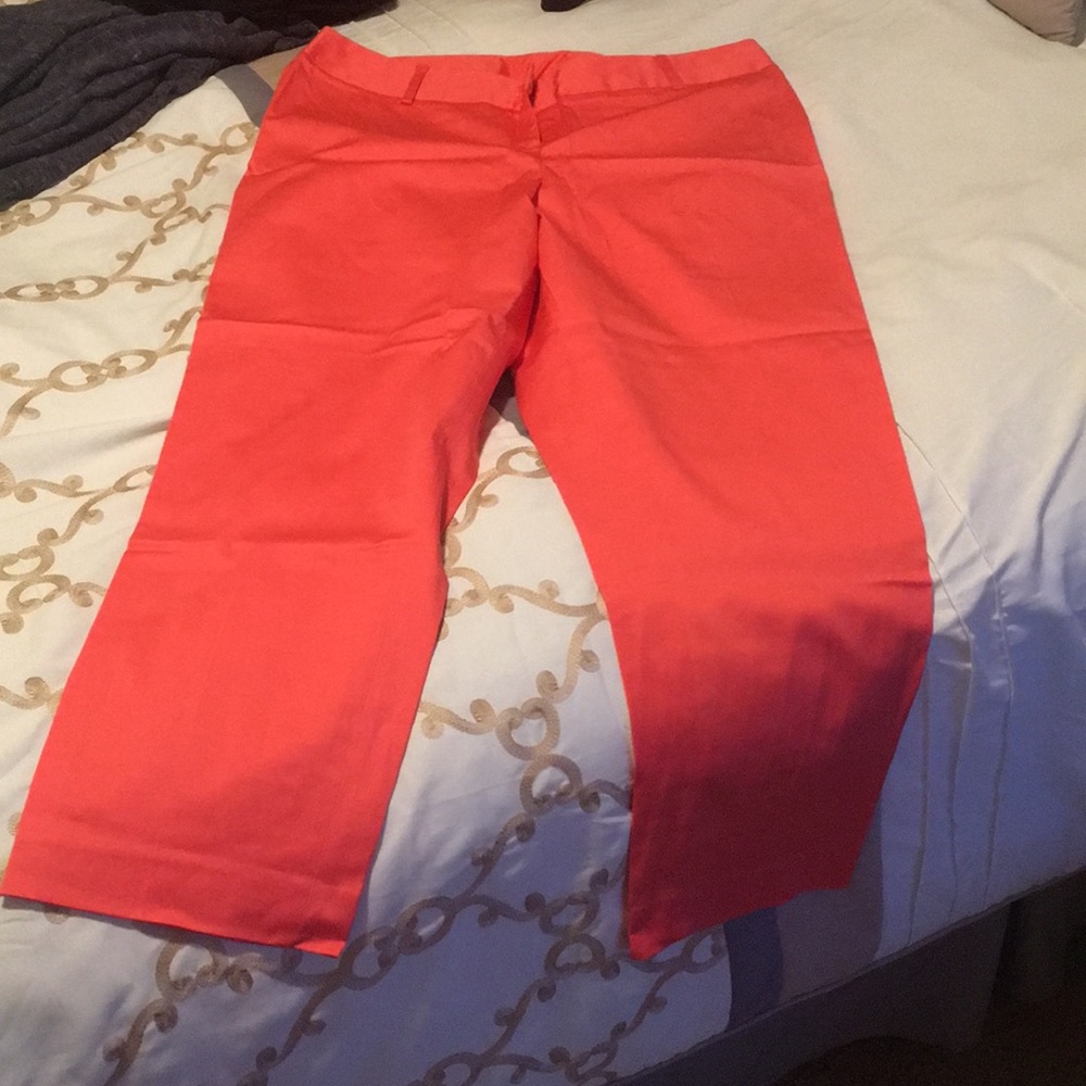 Lane Bryant capris
